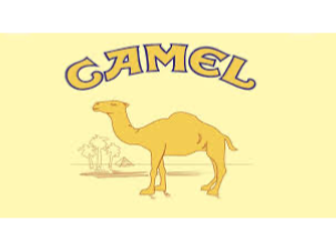 Camel
