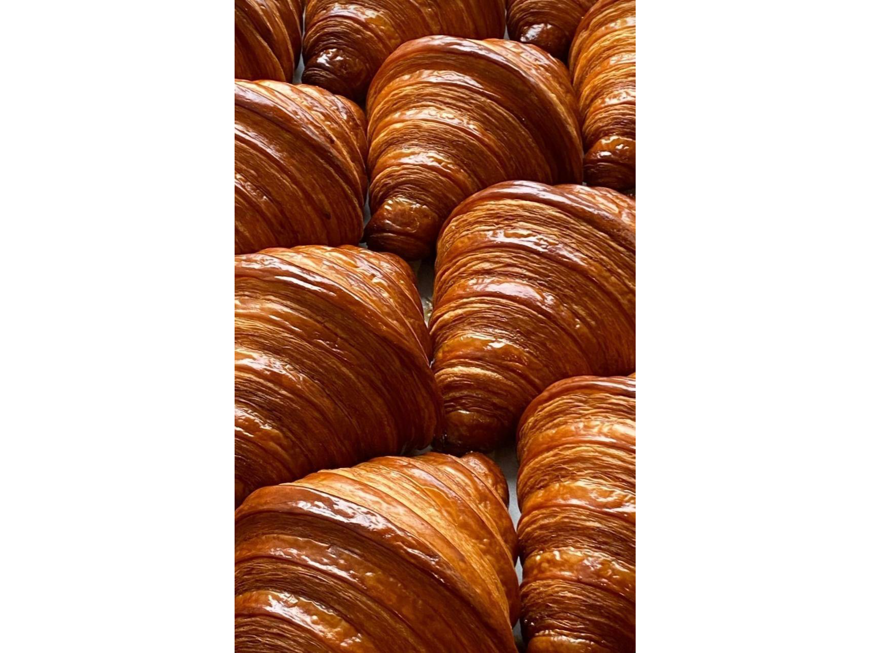 DOCENA DE CROISSANTS