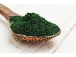 spirulina en polvo