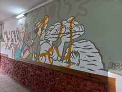 Logo La chacha del gringo