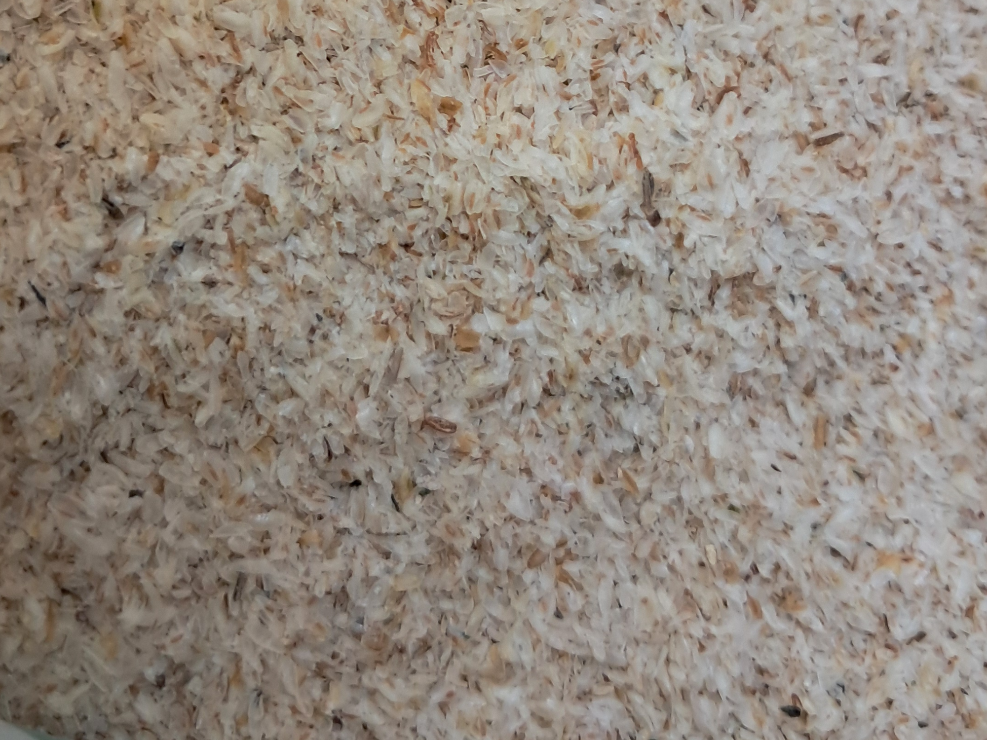 Harina de psyllium