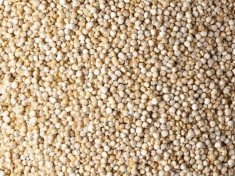 Quinoa