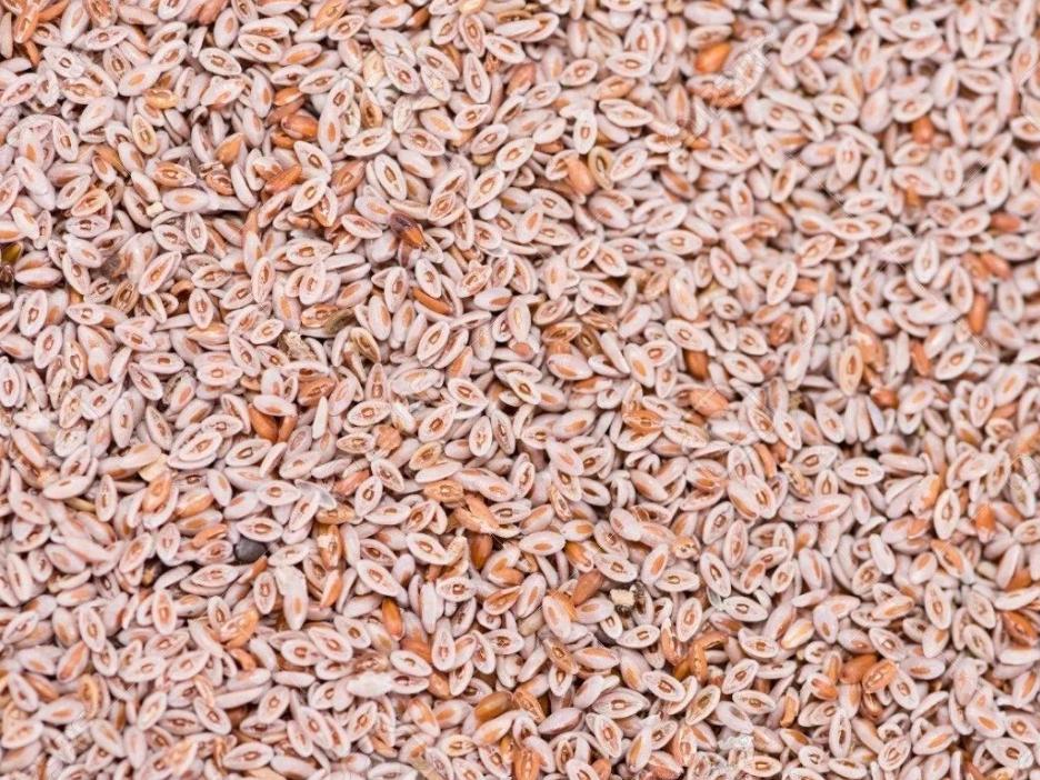 Psyllium x100gr