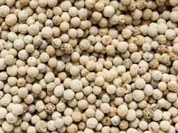 Pimienta blanca en grano