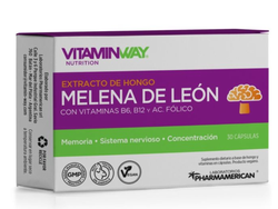 Melena de León Vitaminway