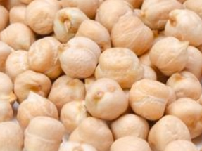 Garbanzo