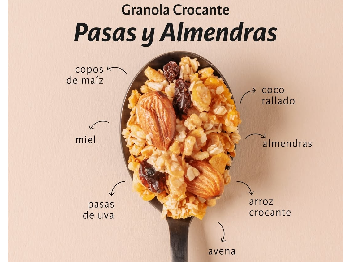 Granola granix x100gr