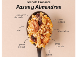 Granola granix x100gr
