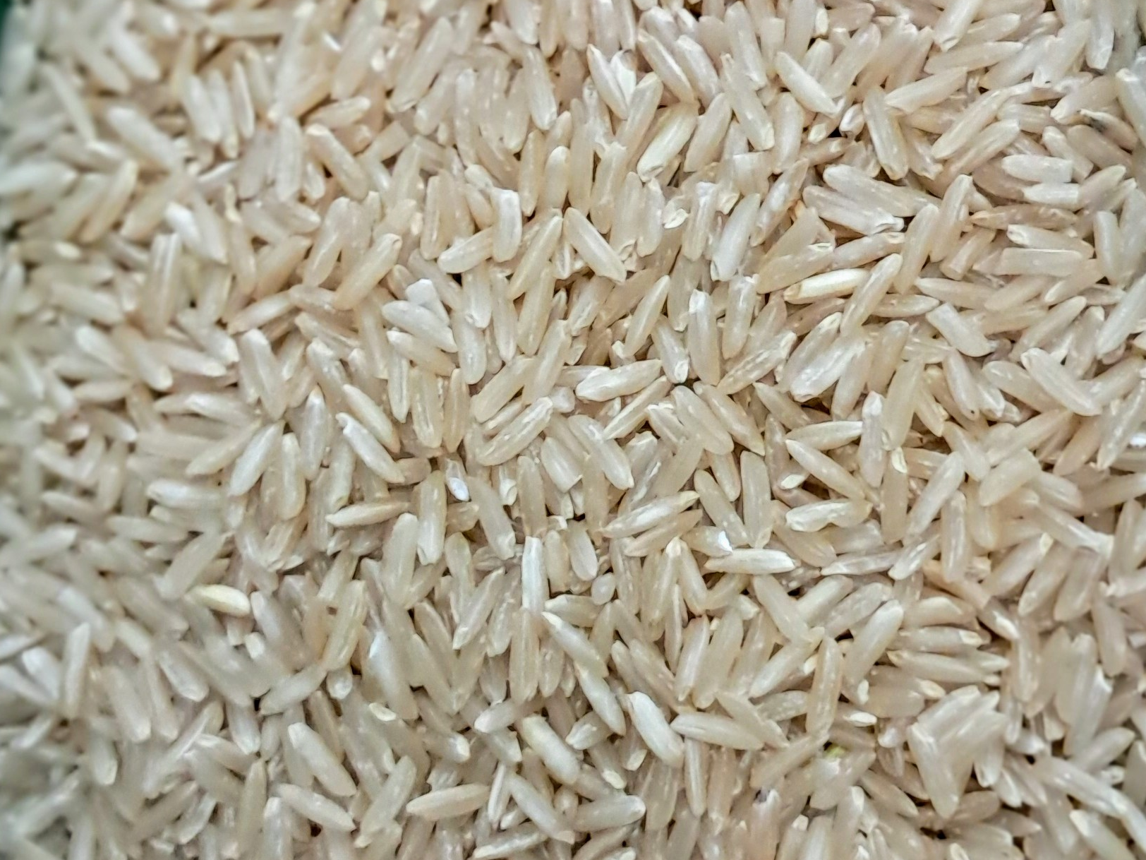 Arroz Integral largo fino