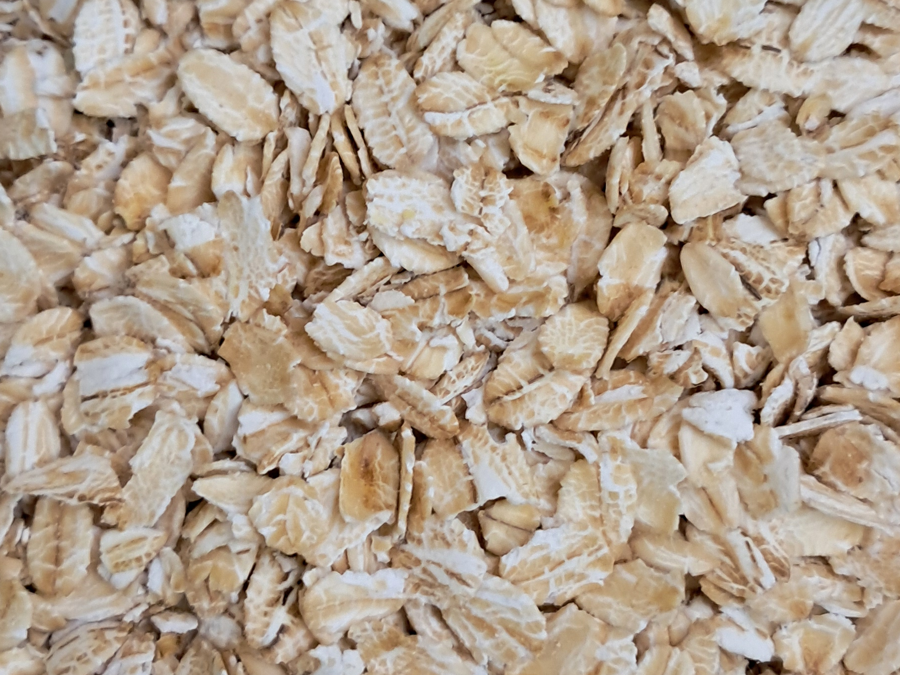 Avena Tradicional Gruesa