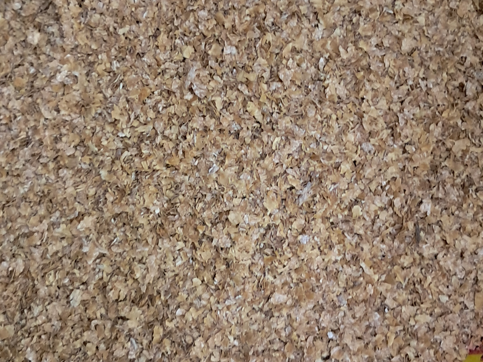 Salvado de Trigo Grueso