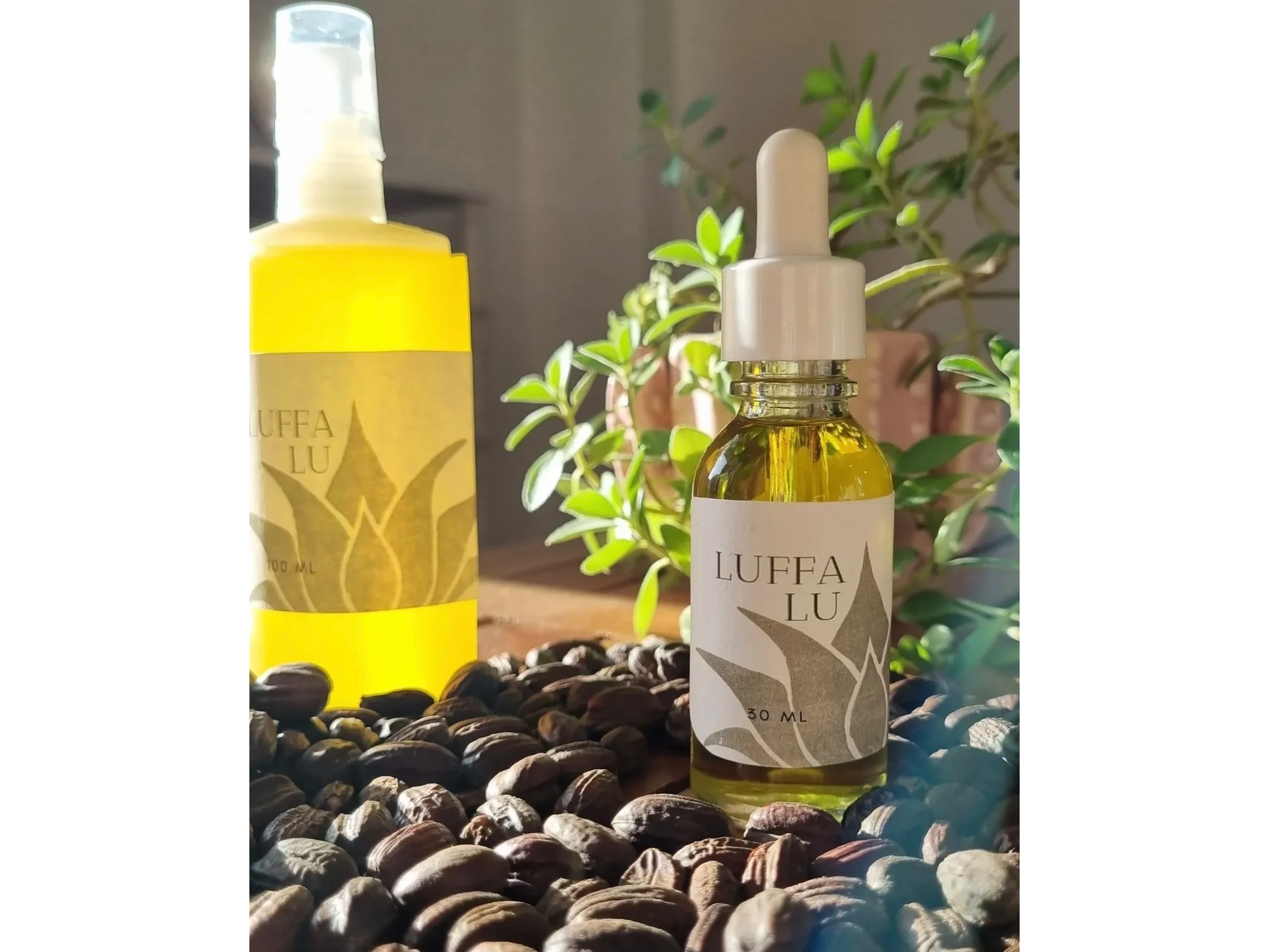 Aceite de jojoba