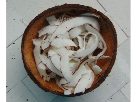 Coco en escamas x Kg