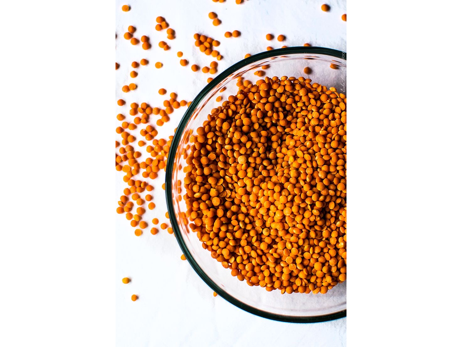 Lentejas canadienses