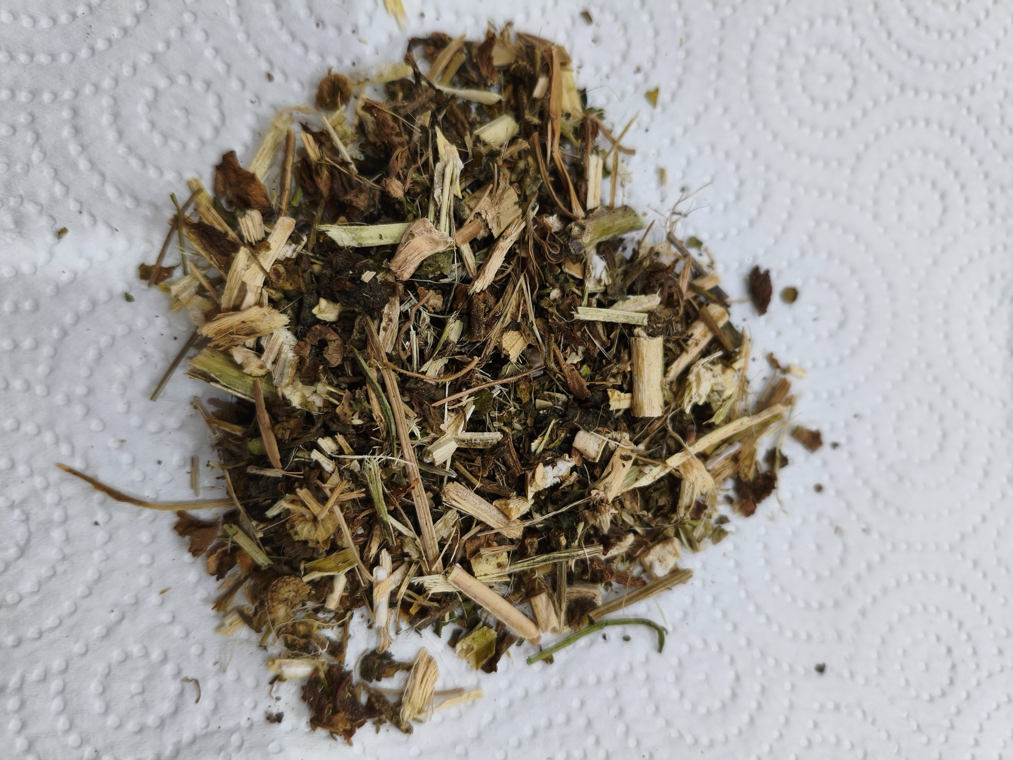 Malva.