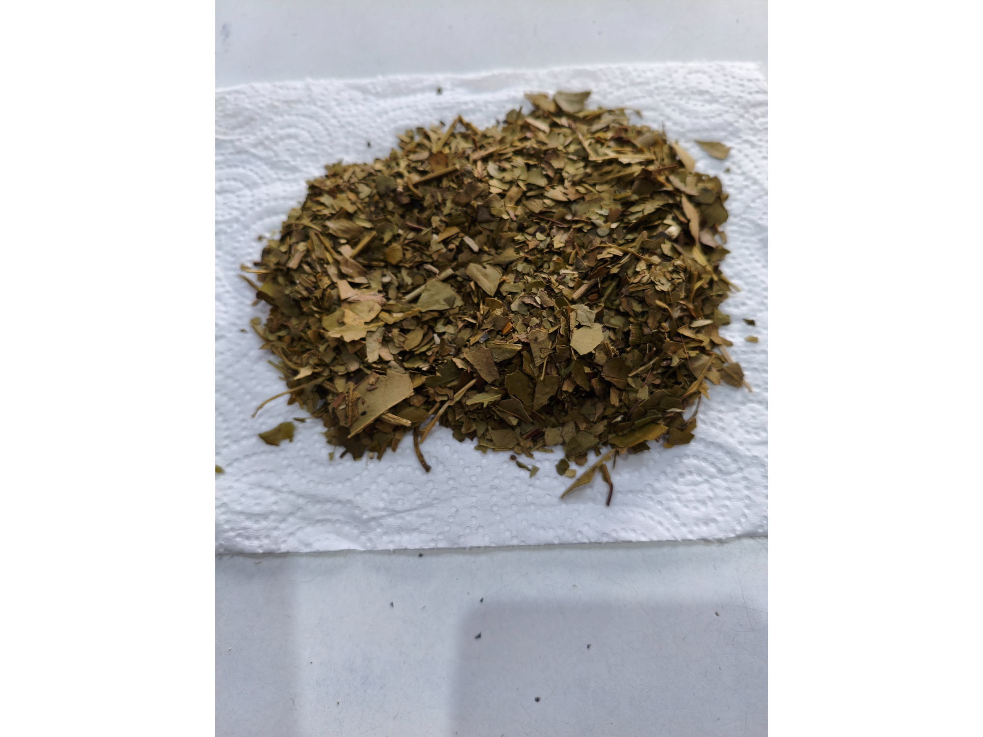 Yerba antiacida.
