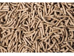 Fibra