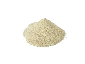 Cebolla molida