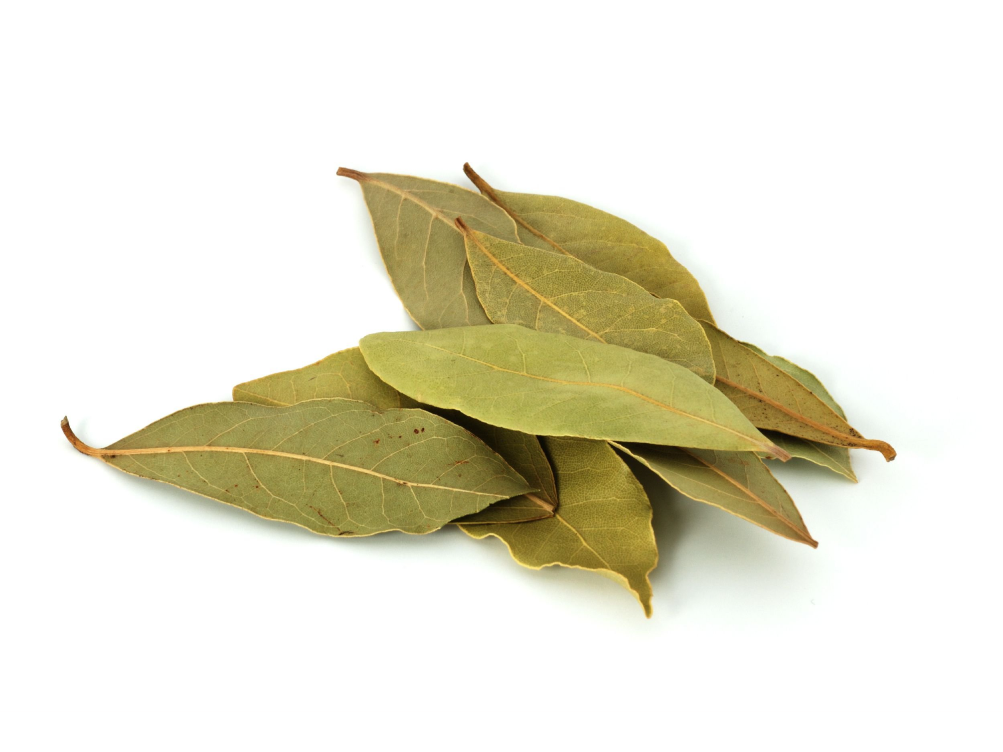 Laurel en hojas