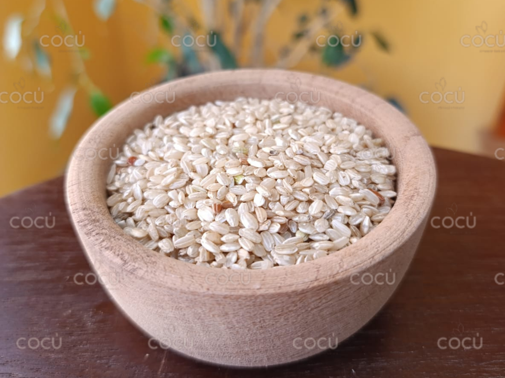Arroz yamani INTEGRAL