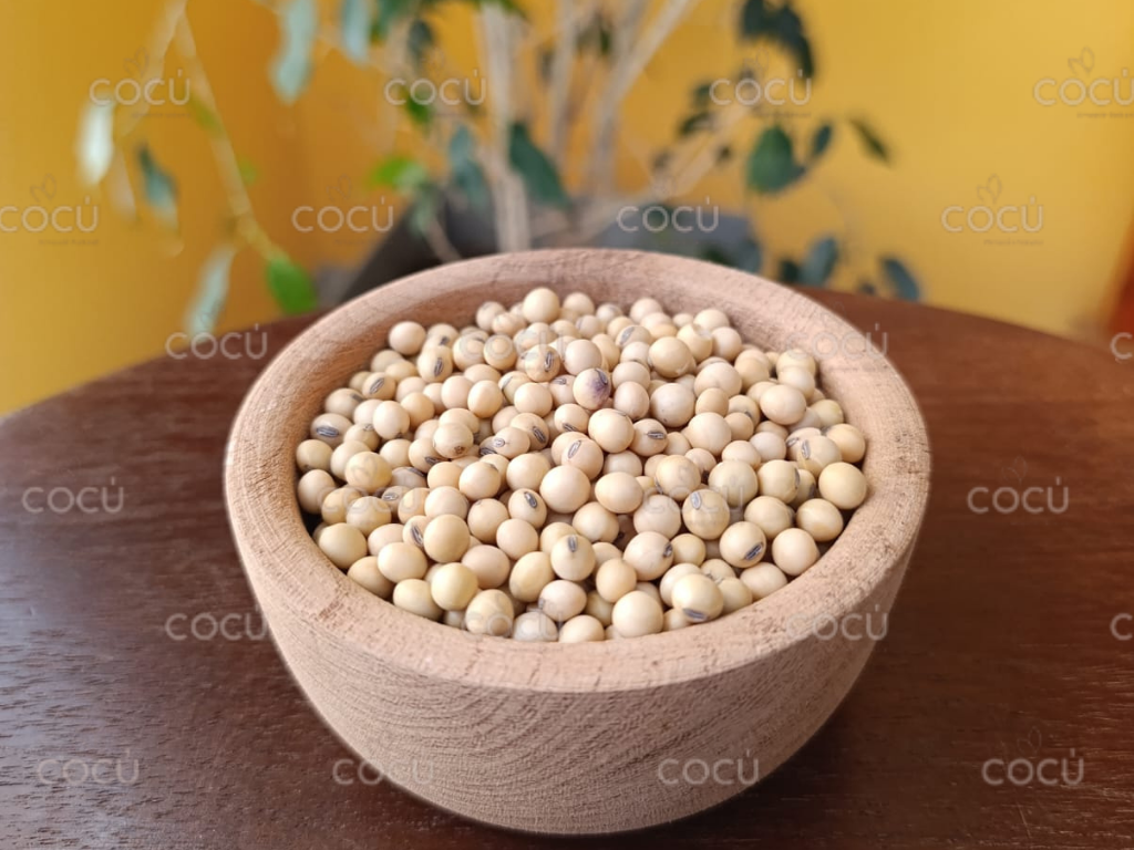 Poroto de soja
