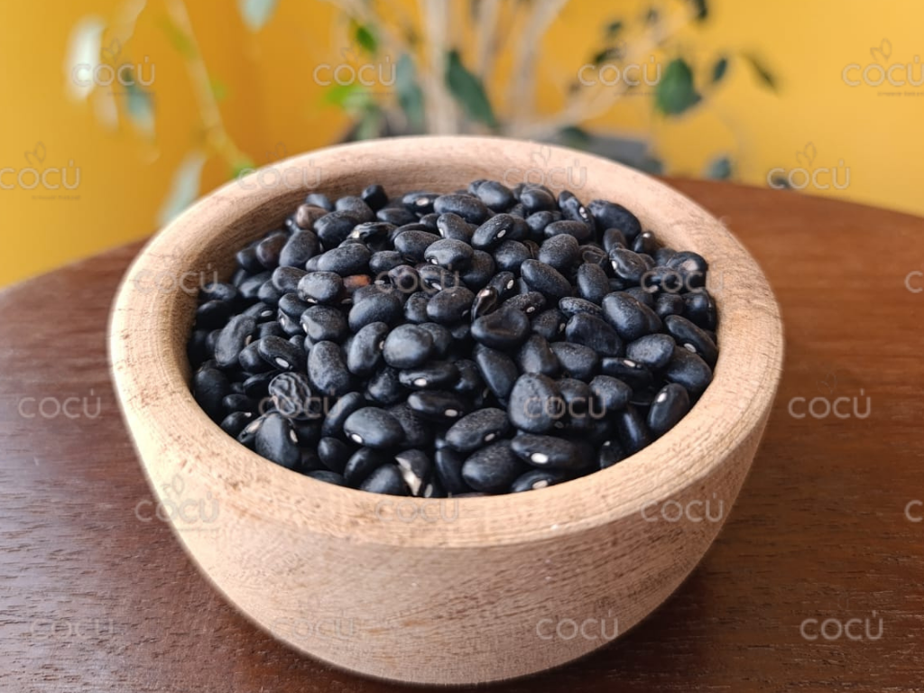 Poroto negro