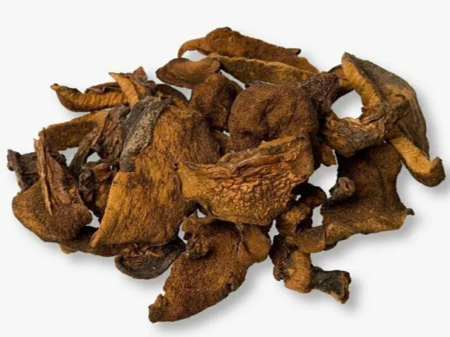 Hongos secos trozados de pino