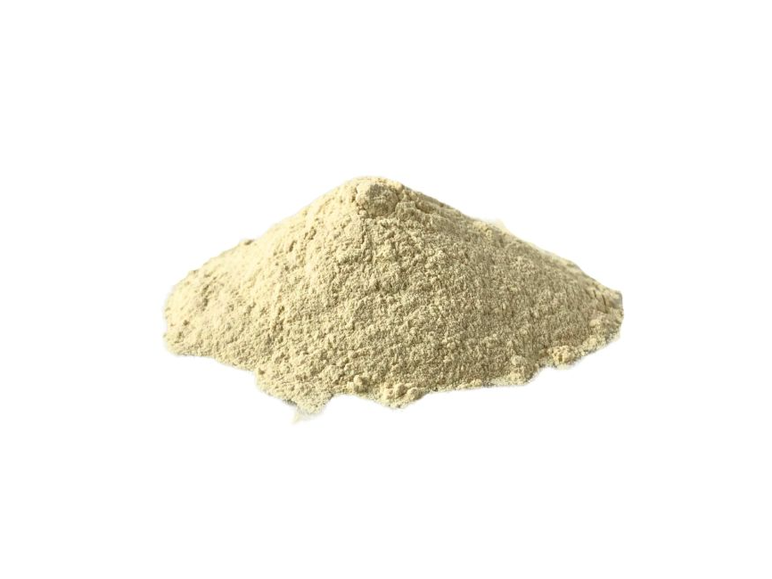 Gluten de trigo