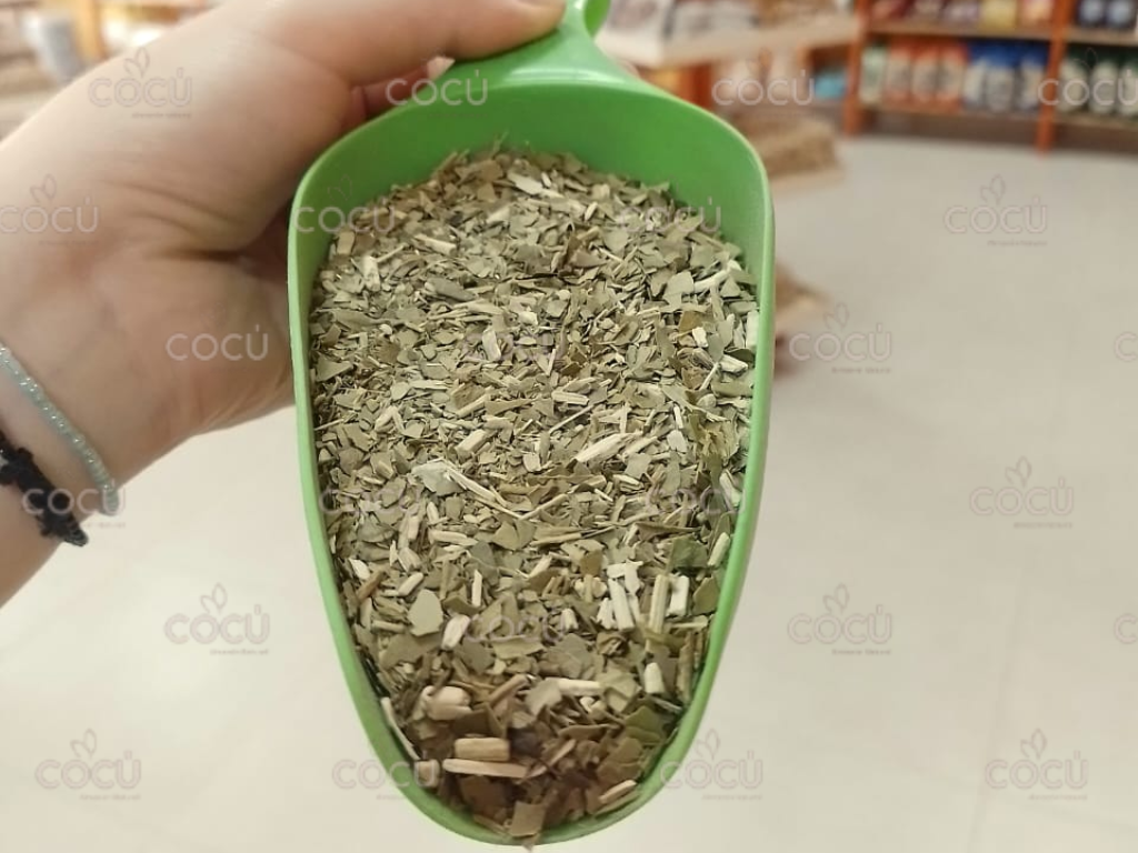 Yerba AJEDREZ  tipo uruguaya