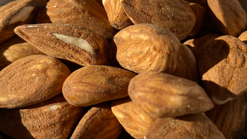 FRUTOS SECOS Y DISECADOS