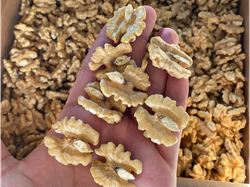 Nuez blanca premium 2025