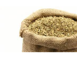 Yerba Ajedrez orgánica x 10kg