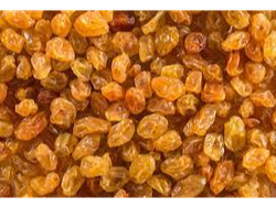 Pasas rubias s/s premium