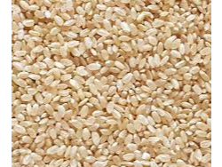 Arroz yamani