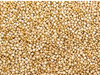Semilla de quinoa
