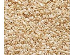 Sesamo blanco
