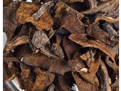 Hongo de pino 250gr
