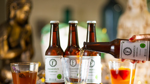 FERMENTOS Y PROBIOTICOS