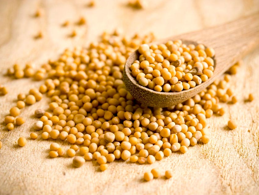 Mostaza amarilla en grano