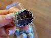 TRUFAS