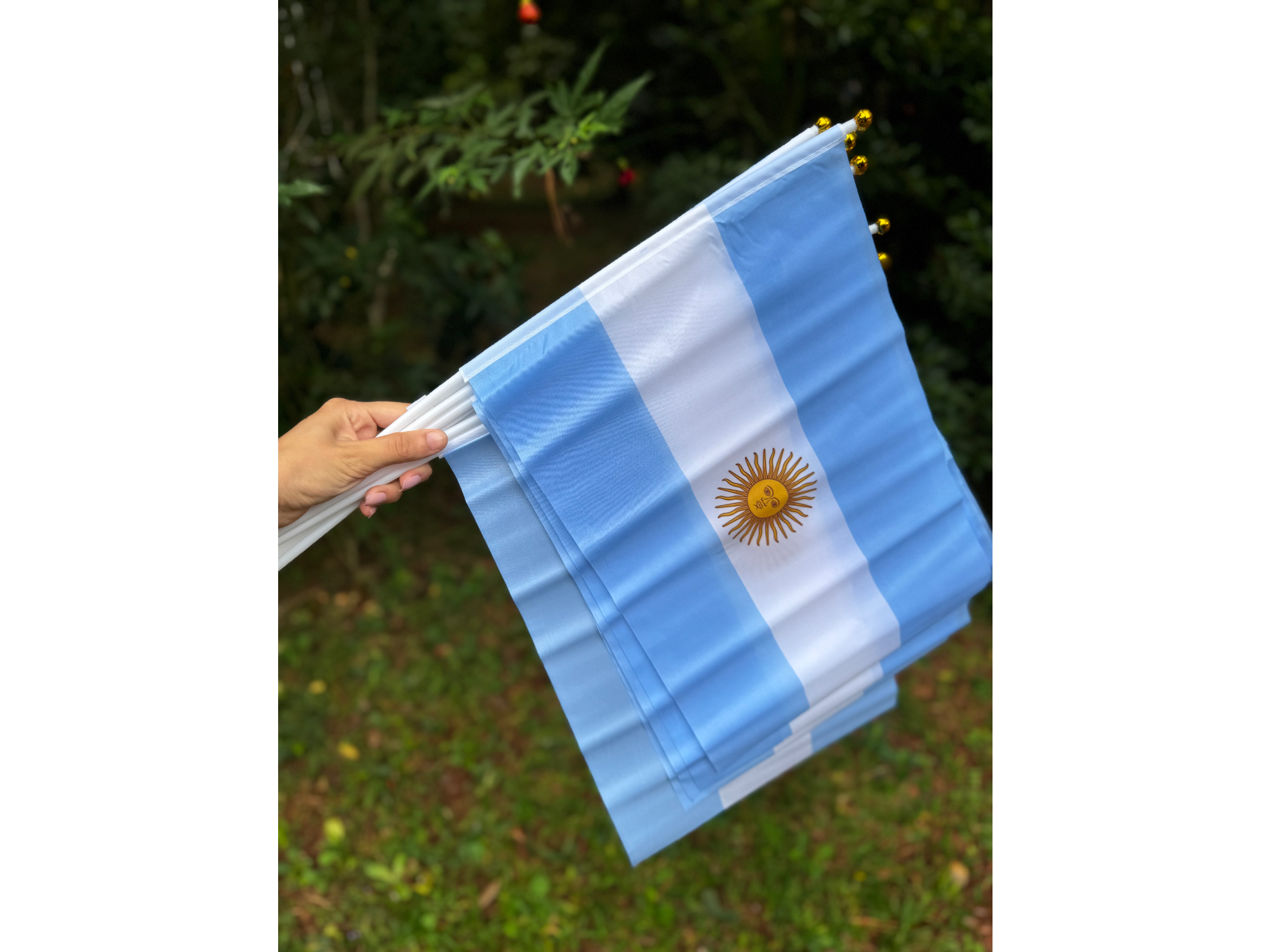 Bandera banderin