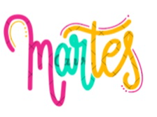 Martes 10/03 - ALBONDIGAS DE CARNE MAGRA PURE MIXTO