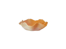 Capelina artesanal AP 72 unidades