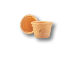 Taccita 125 AP 234 unidades PROMO!