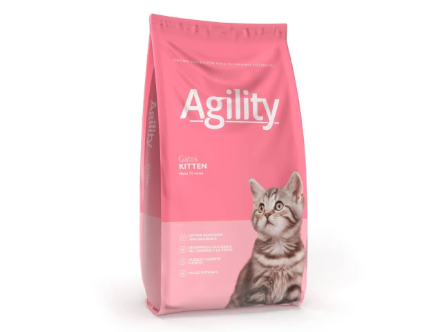 Agility Kitten