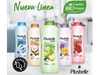 Shampoo Plusbelle