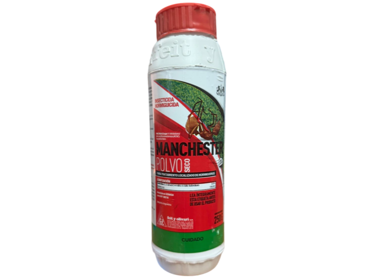 Manchester Polvo
