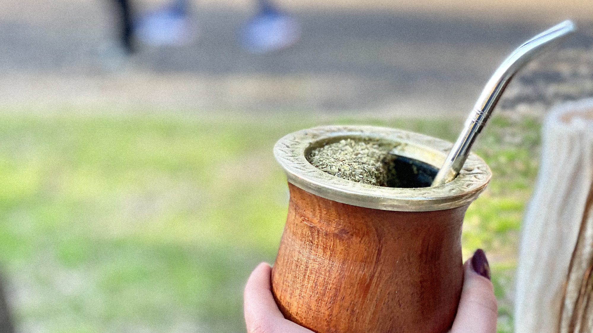 MATES LÍNEA ALGARROBO
