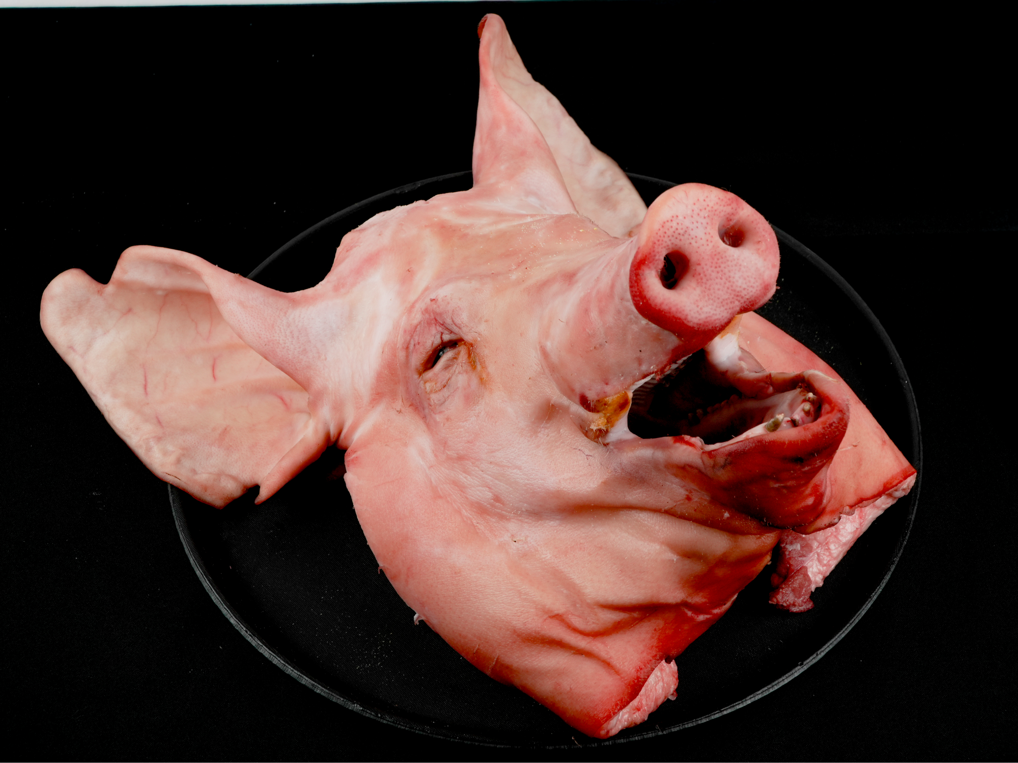 Cabeza cerdo (por mitad y por unidad)