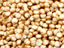 Quinoa nacional